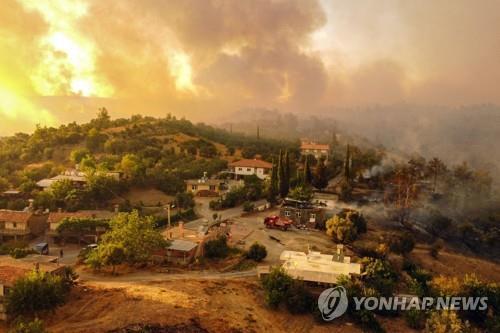 터키 남서부서 발생한 대규모 산불
