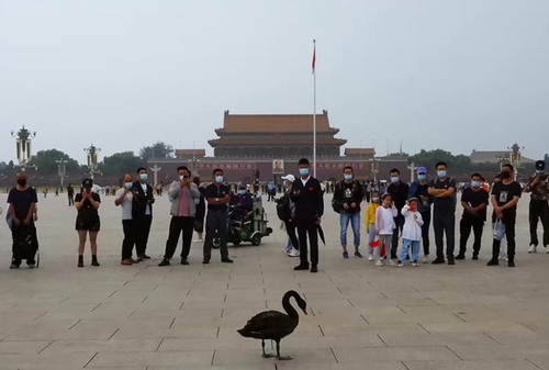 시진핑 주의 당부한 '검은 백조' 톈안먼 광장에 등장