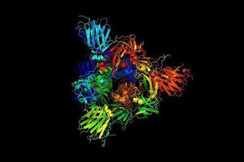 끝없이 진동하는 신종 코로나의 스파이크 단백질 이미지 