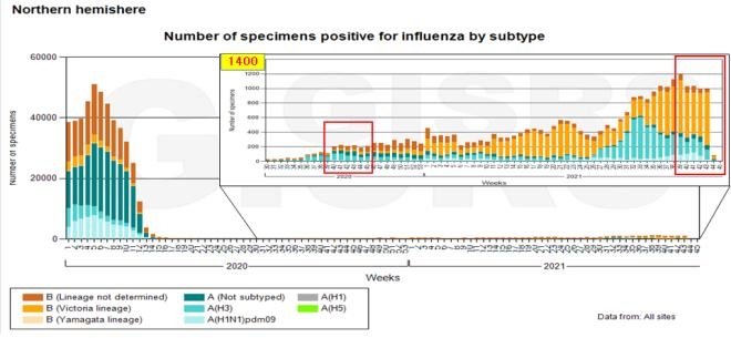 북반구 주별 인플루엔자 검출 현황(빨간 박스 안 2020년-2021년 대비)