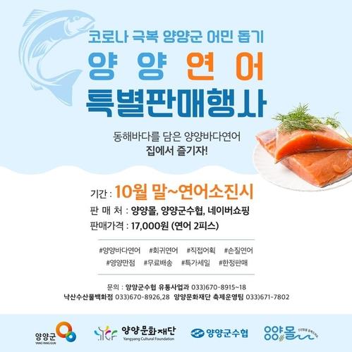 연어특판 행사