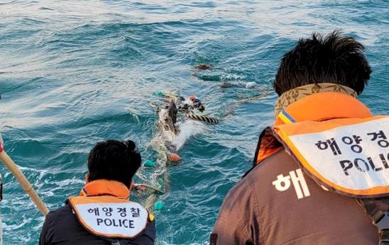 제주 해상에서 폐그물에 감긴 채 발견된 참돌고래 사체