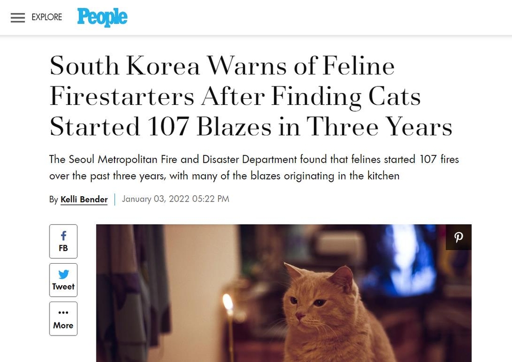 "한국 소방당국, '고양이 방화범'에 대해 경고"