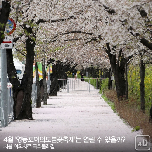 [여행honey] 꽃길 걷고 싶은데…올해도 문닫는 전국 '봄꽃 축제' - 4