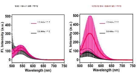 Professor Kim Do-kyung's research result graph