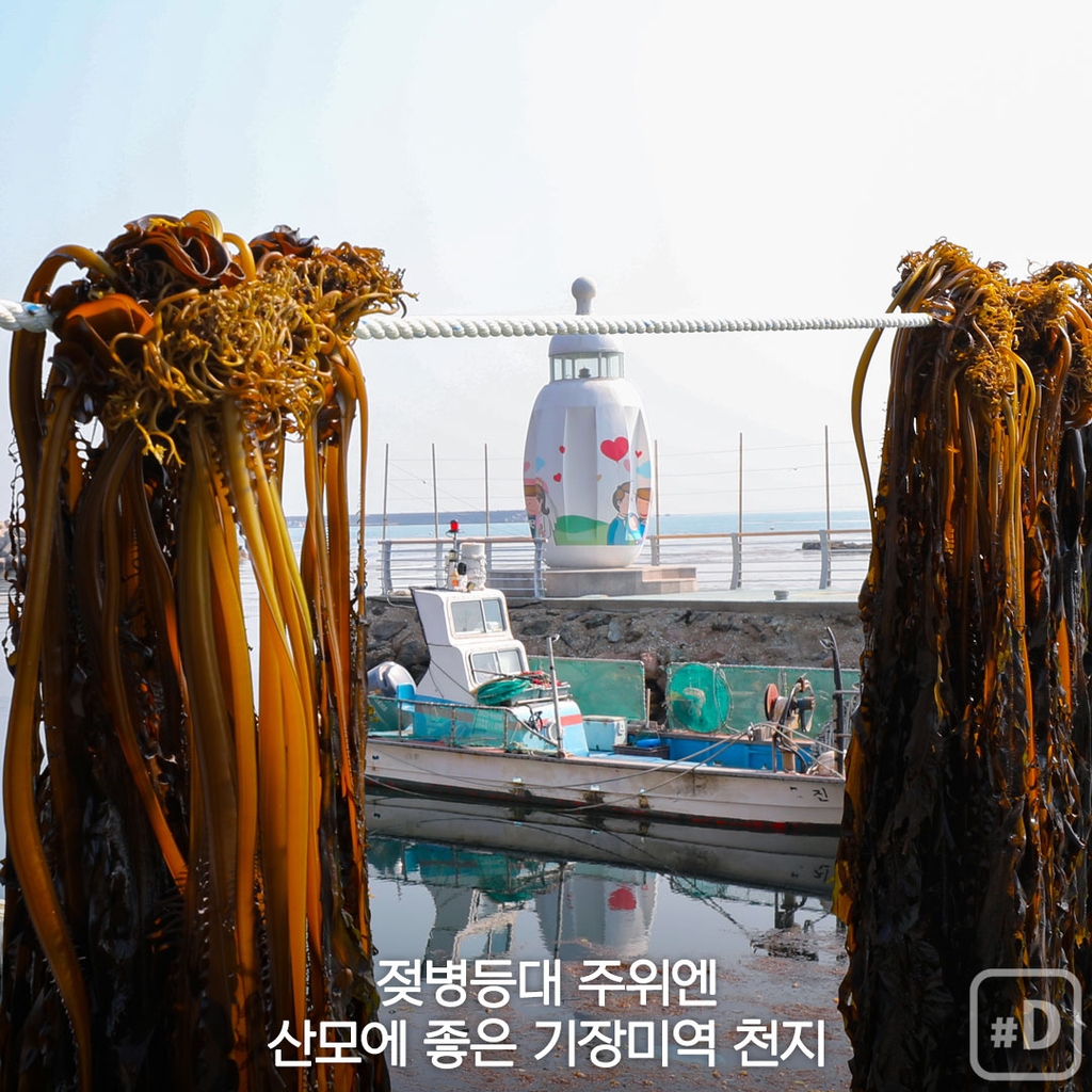 [여행honey] 바닷가 성당·사찰·등대가 예쁜 부산 기장 해안길 - 4