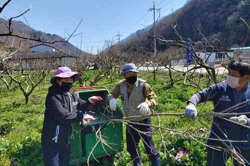 장성군, 귀농·귀촌 희망인 대상 '농촌에서 살아보기' 운영