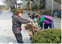 [게시판] 서울시, 올해 258곳서 주민제안 녹화사업