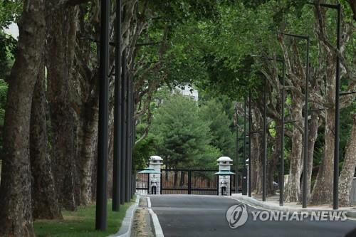 시범 개방되는 용산공원 내 가로수길