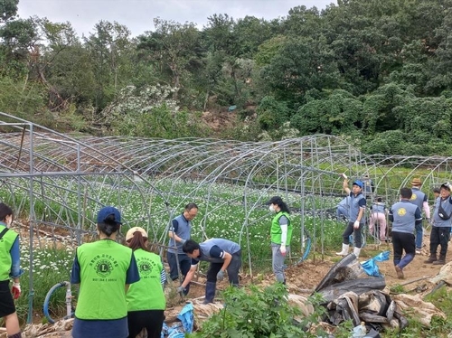 포항 수해 현장에서 봉사활동하는 라이온스클럽 회원