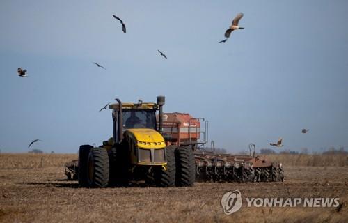 아르헨티나 농부가 밀 밭에서 트랙터를 몰고 있는 모습. [로이터=연합뉴스 자료사진, DB화 및 재배포 금지]