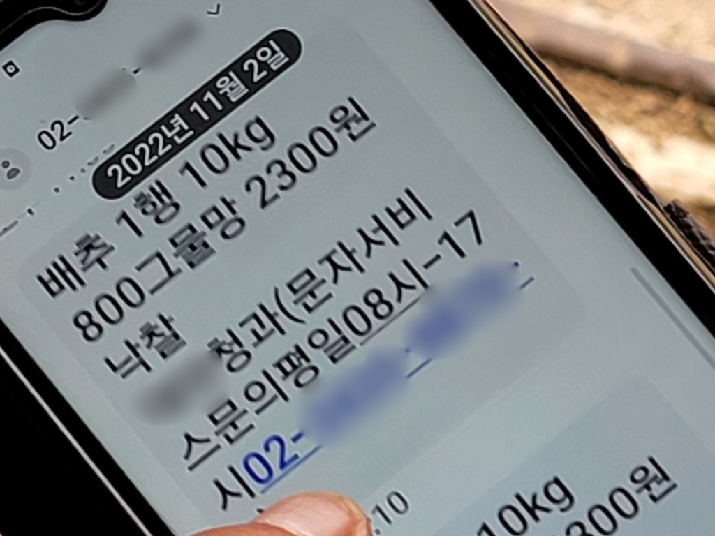 배추 3포기 2천300원에 낙찰