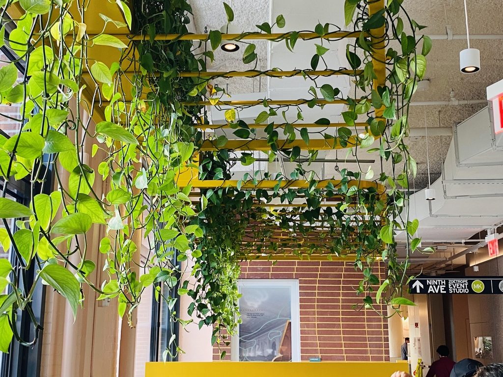곳곳에 식물 가득한 구글 뉴욕 오피스