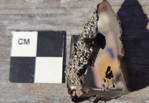 신종 광물 2종이 발견된 소말리아 '엘알리' 운석 표본