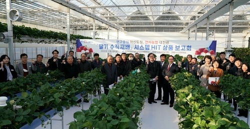 경북농업기술원 "딸기 수확량 대폭 증대…새 생산시스템 개발"