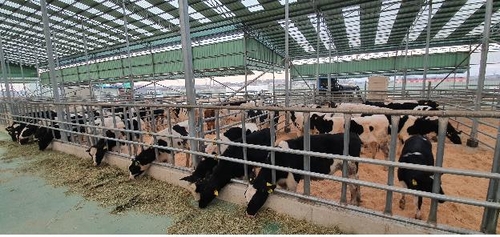 한국 젖소·유전자원 네팔에 보낸다…농식품부 첫 지원