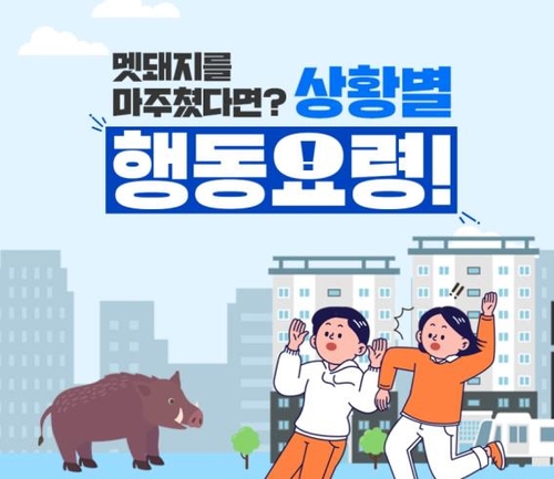 올해 서울서 야생멧돼지 포획 155건…작년보다 70%↑