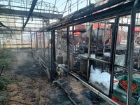 김제 비닐하우스서 불…2천500만원 피해