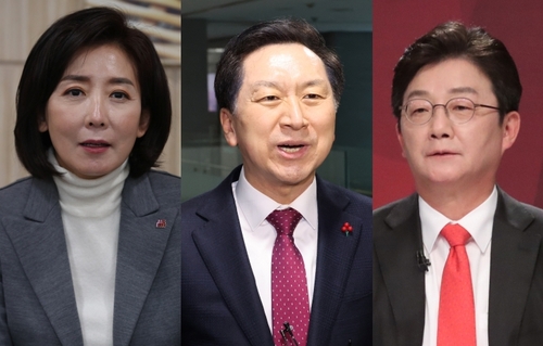 "與지지층 지지도 나경원 30.7%·김기현 18.8%·유승민 14.6%"