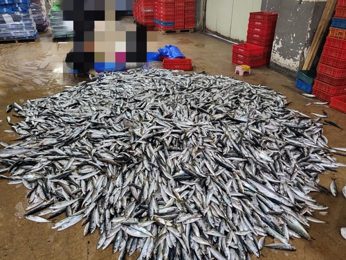 제주해경, 조업 금지 해역서 불법조업 어선 4척 적발