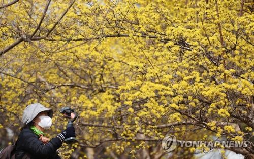 대구·경북 구름 많다가 오후부터 맑아져…낮 최고 19도