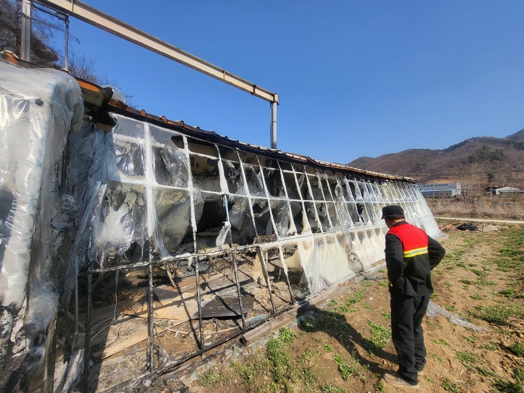 산불현장 살피는 산불감시원