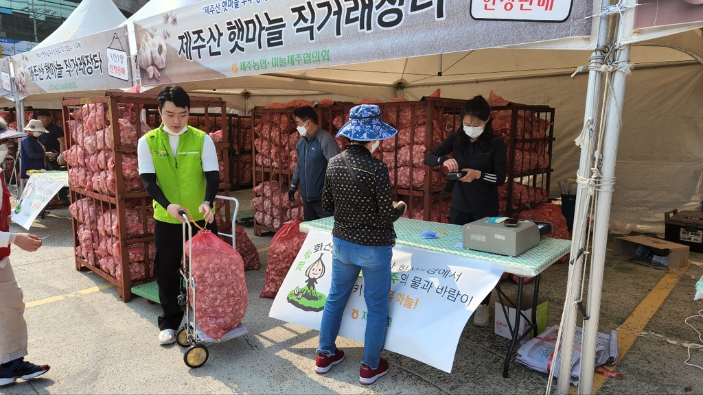 지난해 열린 제주산 햇마늘 직거래 장터