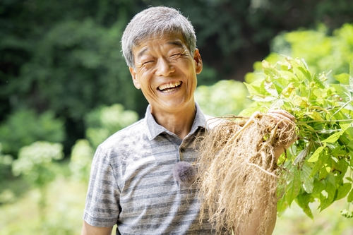 8월 '이달의 임업인'에 평창서 산양삼 재배 지경환 씨