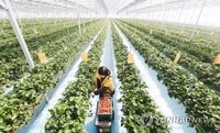 충북도, 스마트농업 육성으로 농촌 새 활로 찾는다
