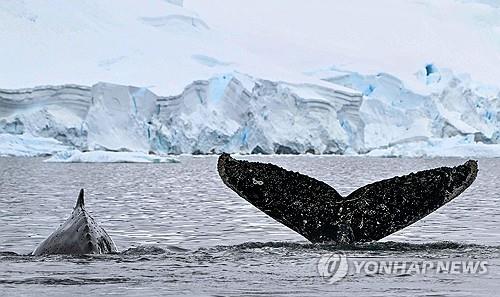 남극