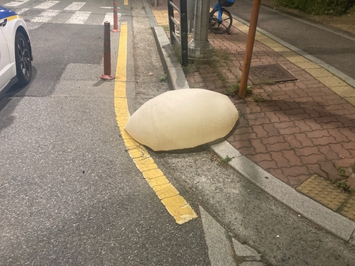 29일 오전 수원 영통구에서 발견된 대남 전단 살포용 추정 풍선