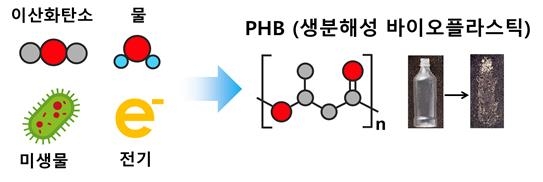 이산화탄소, 물, 미생물, 전기 이용한 생분해성 바이오플라스틱 생산