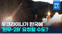[영상] 나토 당국자 "한국 지원, 뭐든지 환영"…외신, 현무-2B 거론