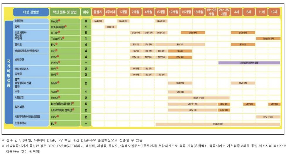 12세 이하 어린이 표준예방접종 일정표