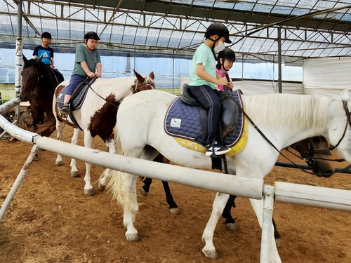 강화군 삼산초 승마 체험