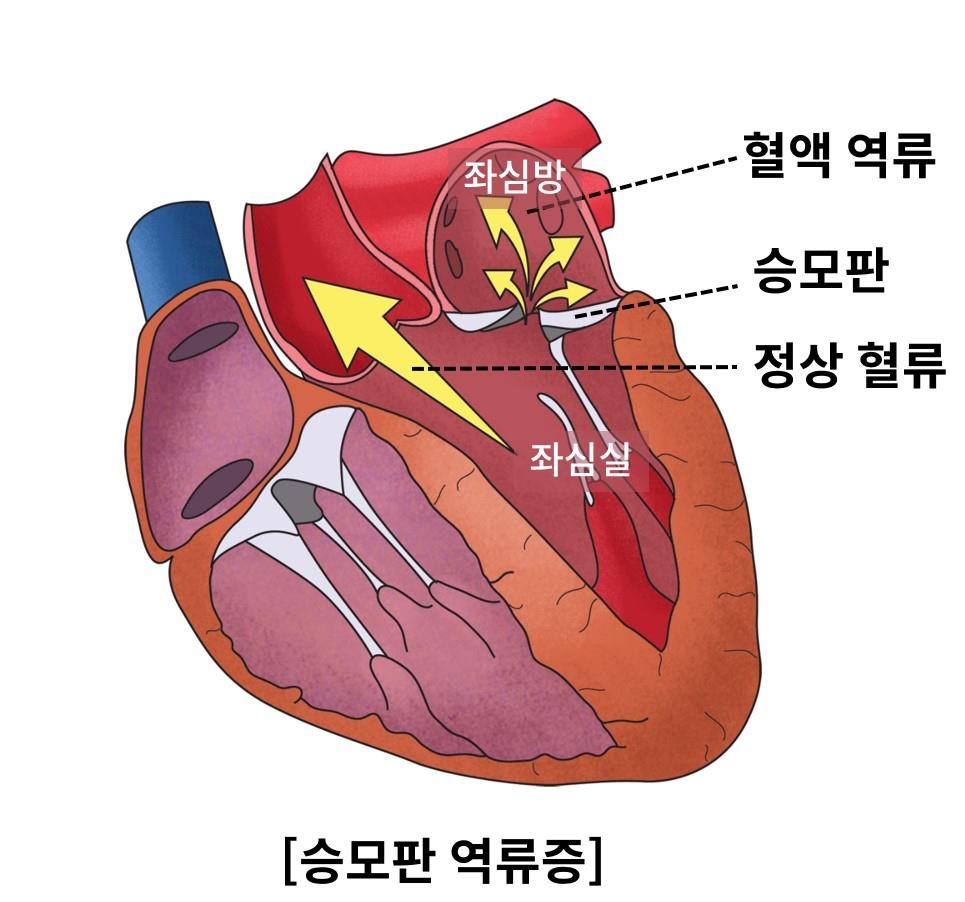 [ƻ꺴 . Ǹ  DB ]