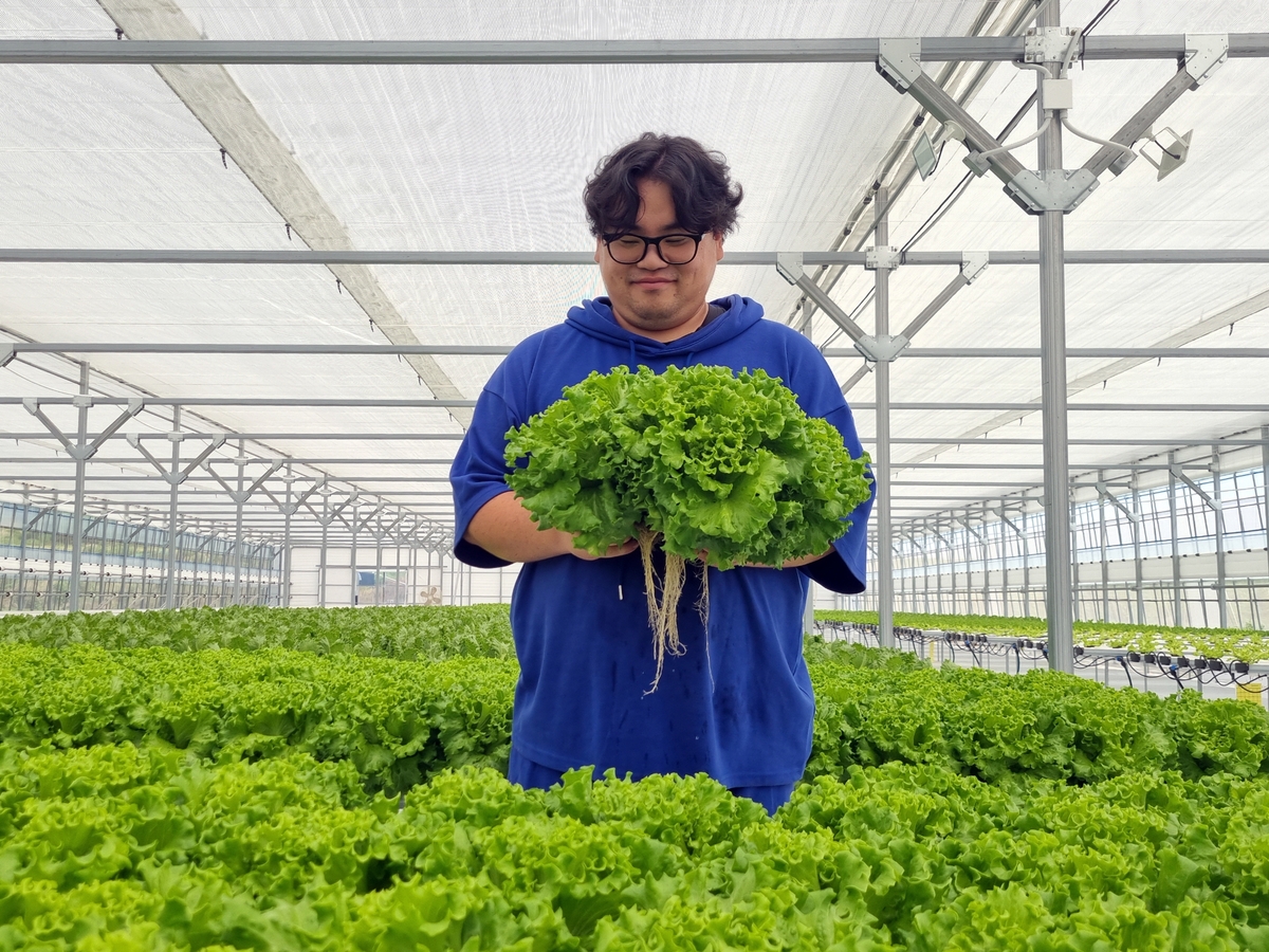 [스마트 파머] ⑨ 대기업 나와 청년농부로...안진엽 양림해오름농장 대표 - 뉴스 썸네일 이미지