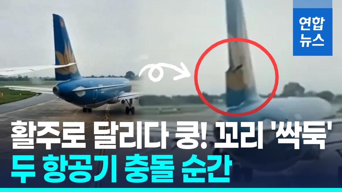 [영상] "어어어!" 승객이 찍은 여객기 충돌순간…날개…