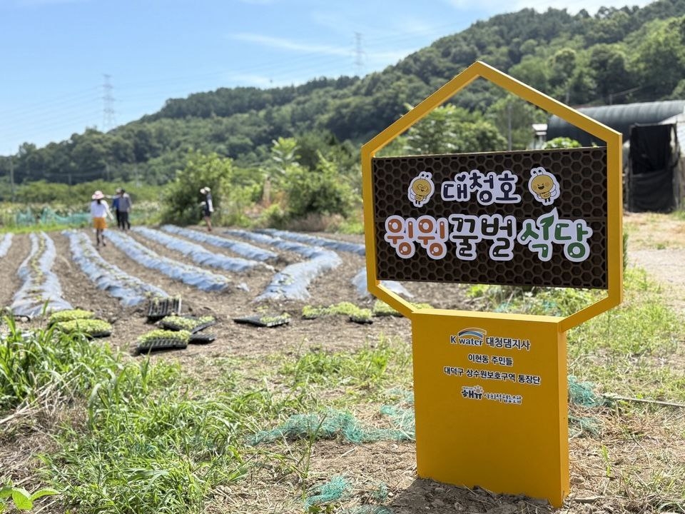 꿀벌 급감하자 대청호 주민 직접 나섰다…'윙윙꿀벌식당'…