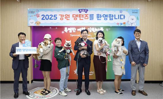 "댕댕이를 인턴으로 임명합니다" 강원관광재단, 반려견 …