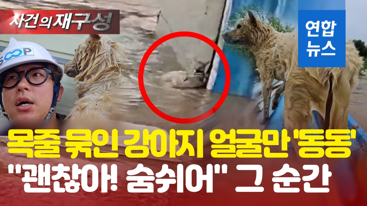 [영상] "어! 강아지" 목줄 묶인채 얼굴만 동동…익사…