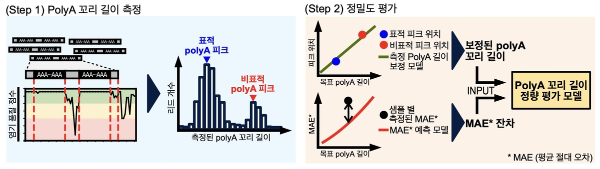 아주대·가톨릭대 "mRNA 치료제 효율성 높일 분석기술…