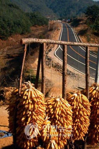 ³óÃÌ-¿Á¼ö¼ö ¸»¸®±â