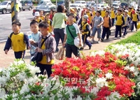 사라지는 소풍, 멀어지는 김밥의 추억