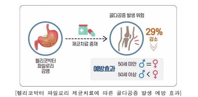 보건연구원 "헬리코박터 제균 치료, 골다공증 위험 29%↓ 효과"