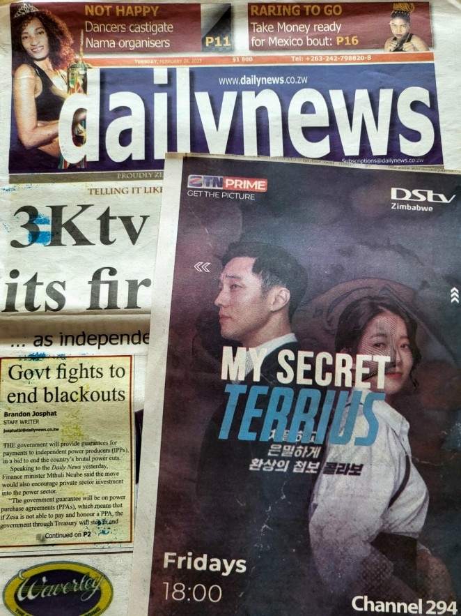 짐바브웨 일간지 Daily News 지면 광고