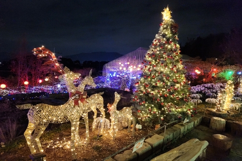 %22추위 잊고·낭만 남기고%22…겨울철·연말연시 경남 여행지 18선