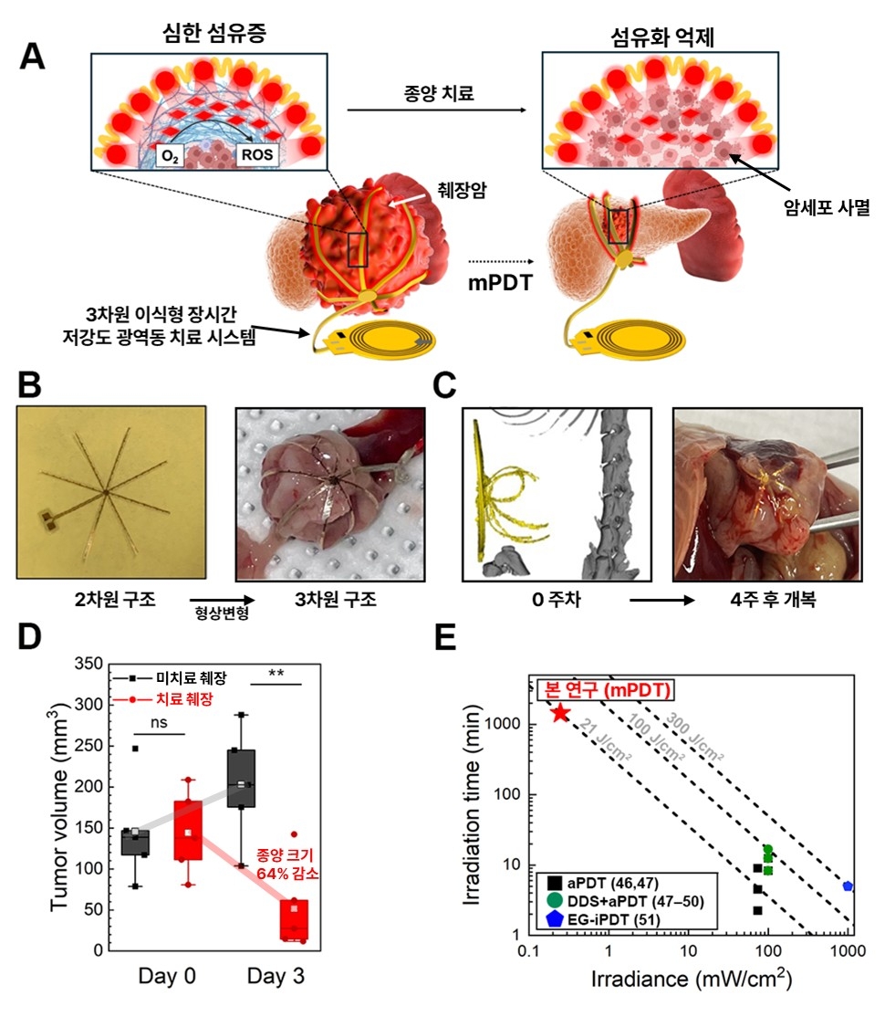 시스템 개요 ⓒ한국과학기술원 제공.
