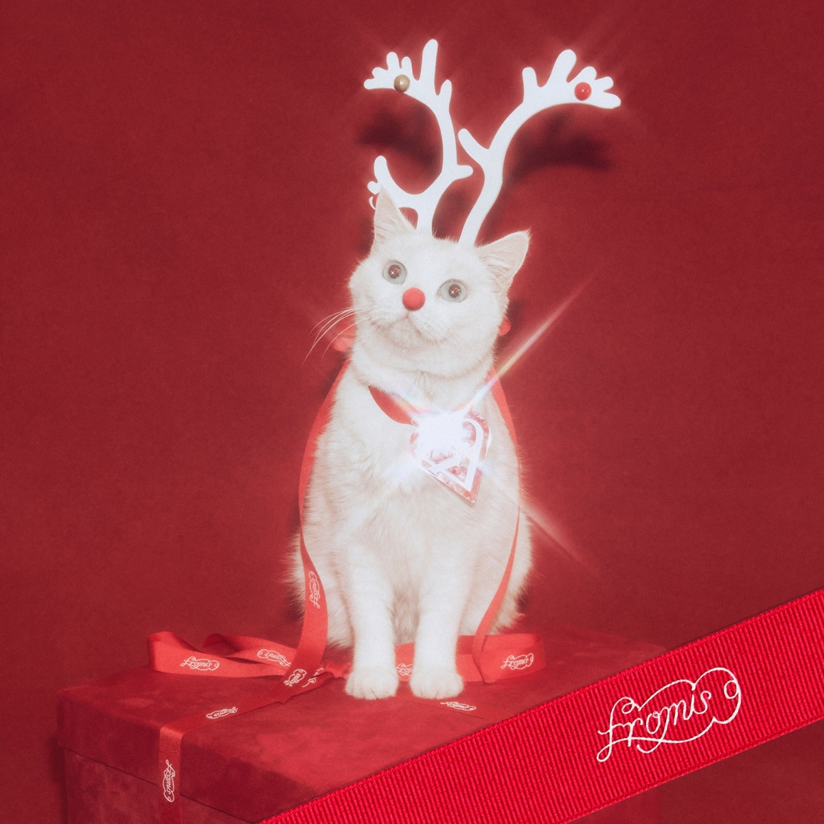 프로미스나인 '하얀 그리움'