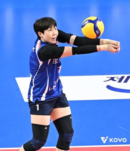 프로배구 여자부 연봉 상한 3억여원 감액 이유는…효율의 문제